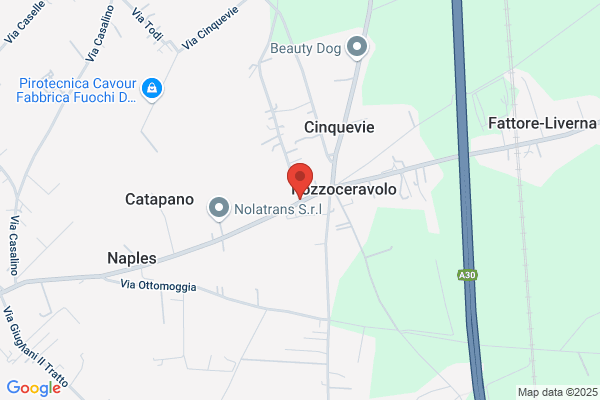 Massa Viaggi