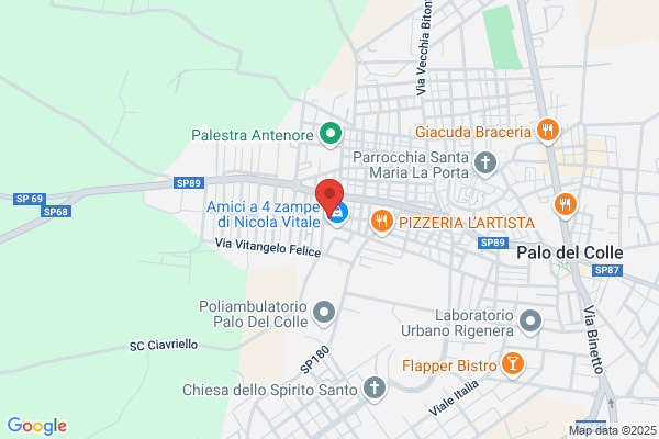 Ponziano antonio