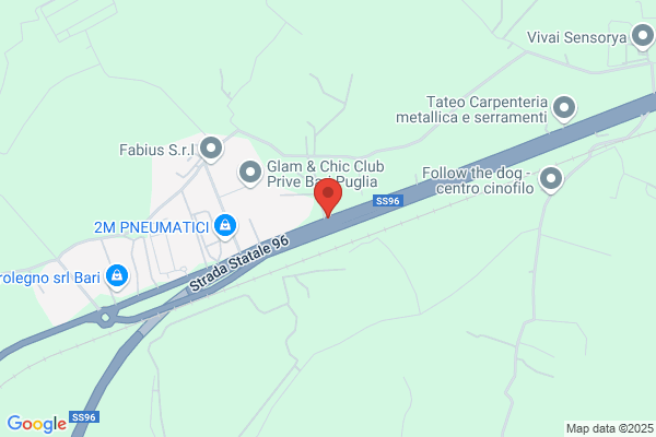 Gelo-Rent Srl