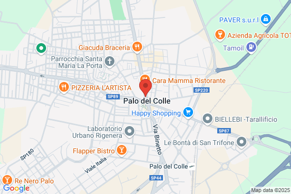 Milano raffaele