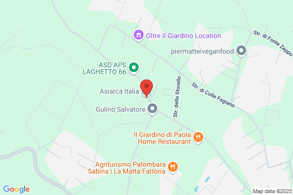 Asiarca Viaggi & Vacanze
