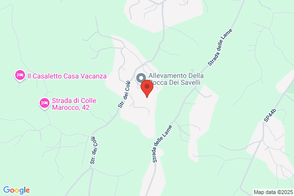 Giubettini Oscar
