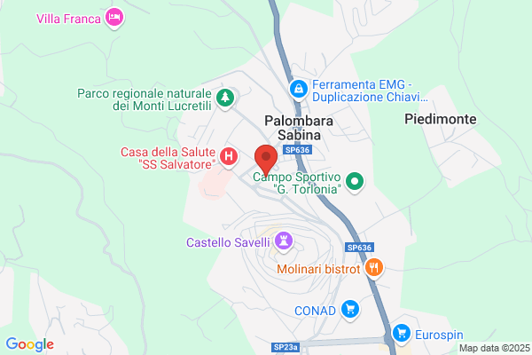 Palombara Realty S.R.L.