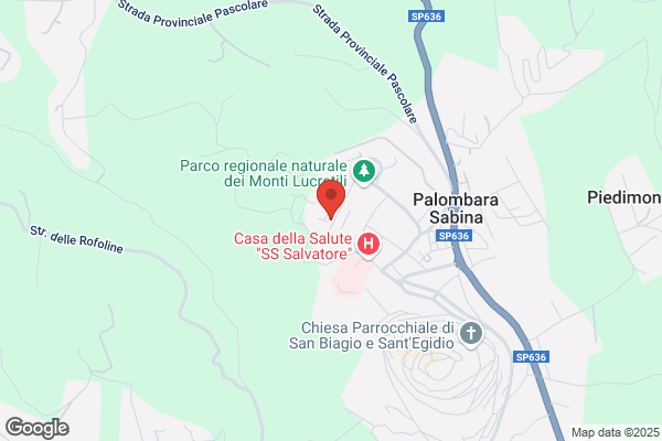 Pedrilli bruno (Dr.)