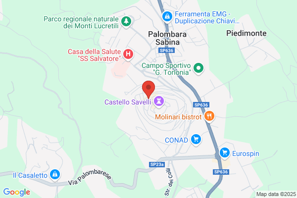 Picconeri Servizi S.R.L.