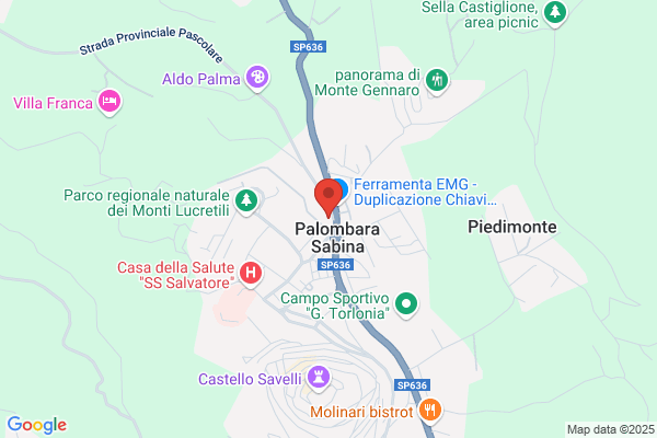 Zielli marco