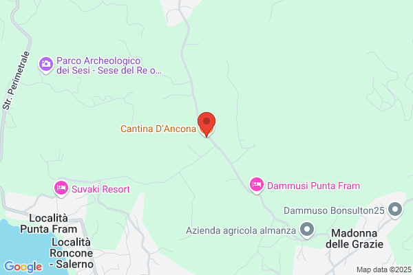 Azienda Agricola S. D'ancona & F.