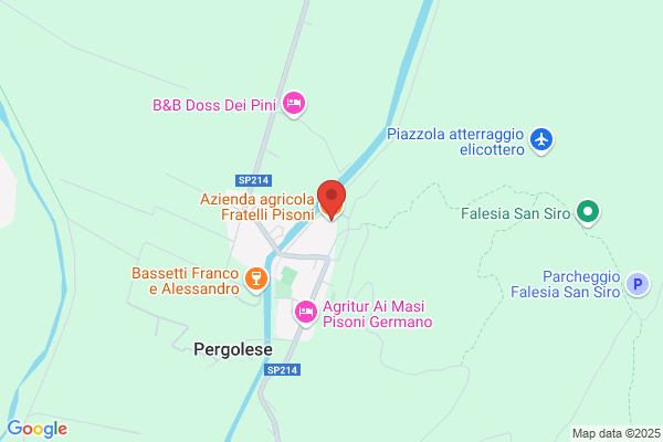 Pisoni roberto