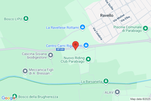 Ortopiazzolla srl