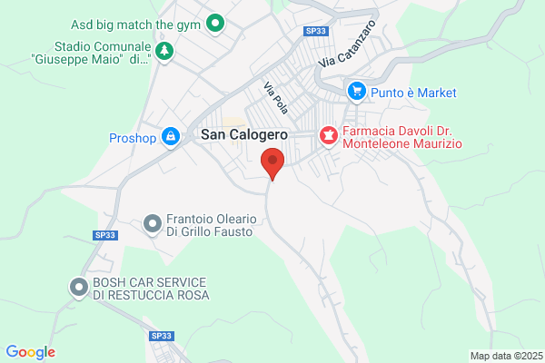 Ventrice francesco