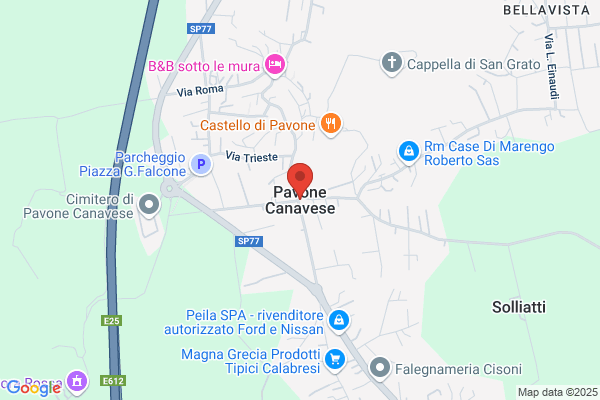 Gedda Calvino Paola