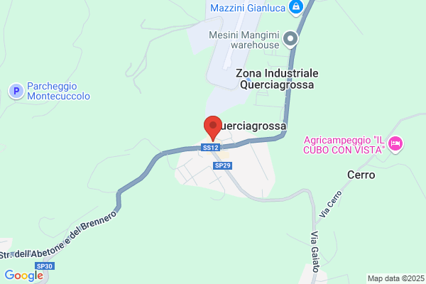 Vecchia Trattoria Romani