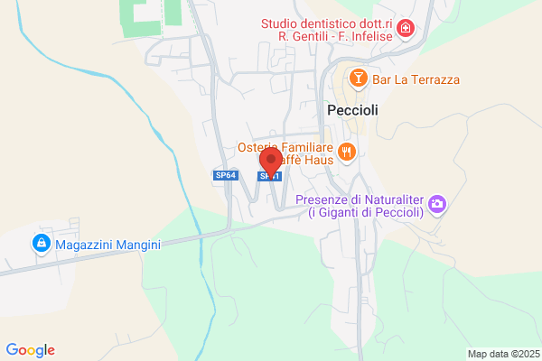 Icesa Costruzioni S.R.L.