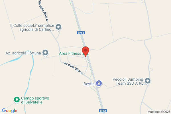 Palestra Master Club