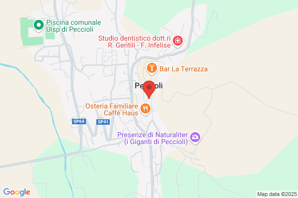 Panizzi eros (Dr.)