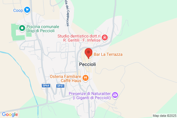 Sindacato Pensionati Italiani Cgil