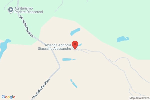 Stassano alessandro