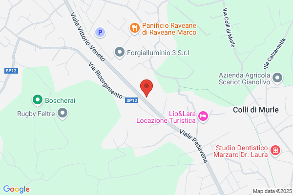 Panciera Arreda
