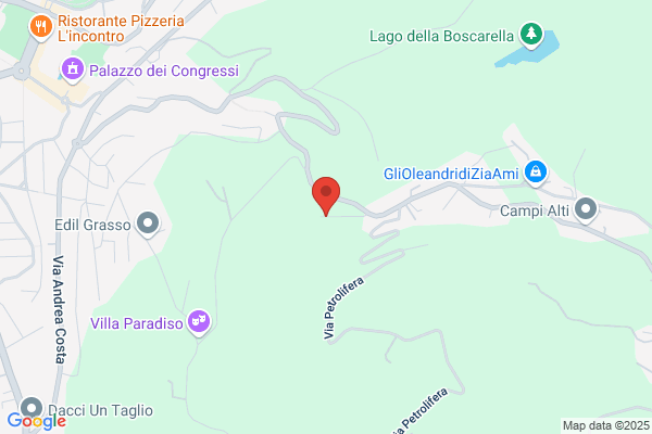 Nuova Lattoneria Lusignani Gabriele E C.(S.A.S.)