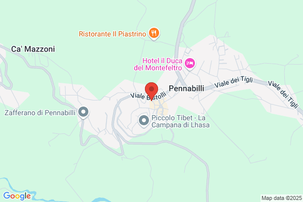 Forno Paneangeli Di Angeli Stefano & C. Sas