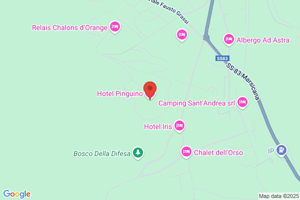 Hotel Pinguino