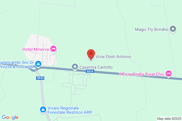 Eboli Antonio