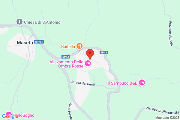 Marchesi massimo