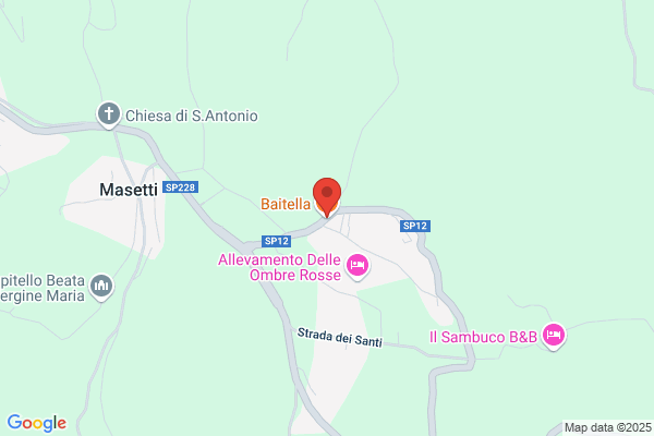 I Monelli