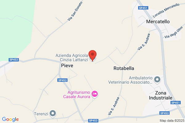 Lattanzi Andrea