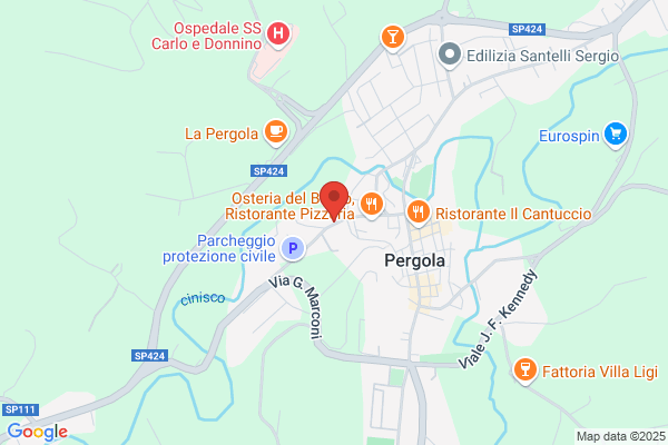 Leprini francesco