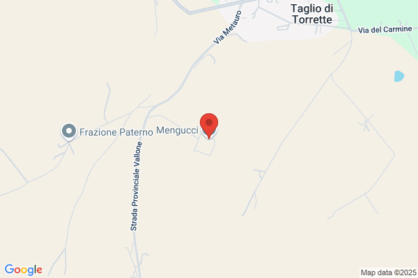 Mengucci mauro (Proc. Leg.)