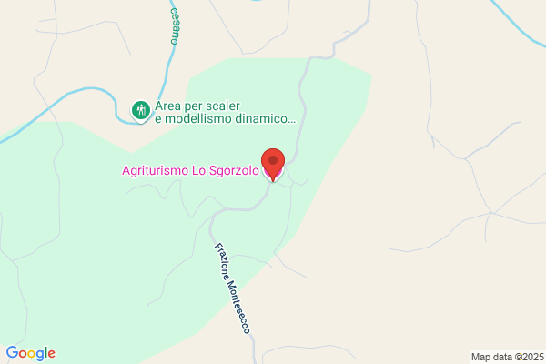 Solfanelli luigi