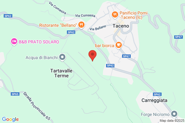 Nogara Strade Srl