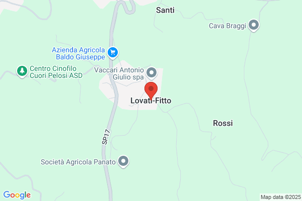Lovati enrico