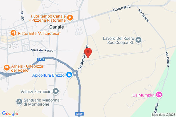 Eliotec Di Patrizia Braghieri E C. (S.N.C.)
