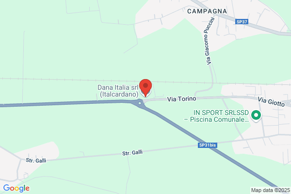 Spicer Italcardano Spa