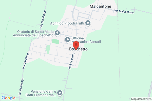 Pizzeria Ristorante Il Boschetto Il Futuro