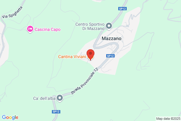 Viviani gino