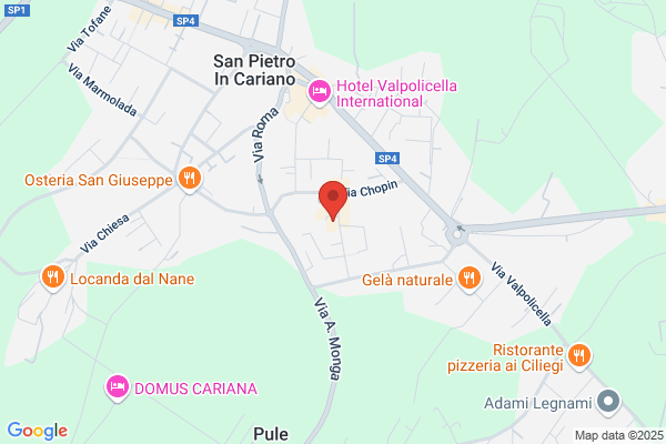 Pizza al Taglio Selly