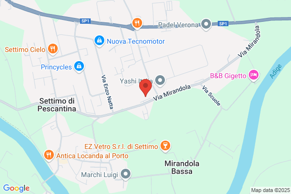 Traca Srl
