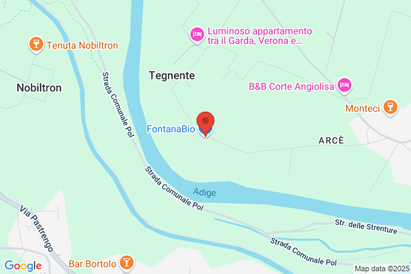 Fontana Gino