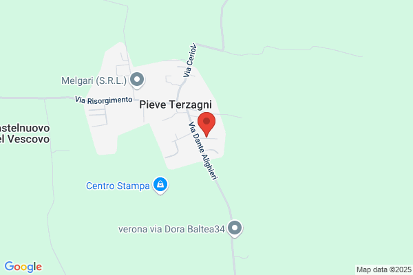 Calcina esterino