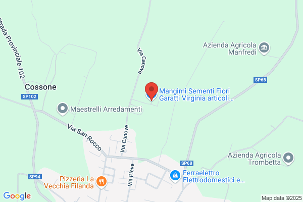 Garatti Virginia