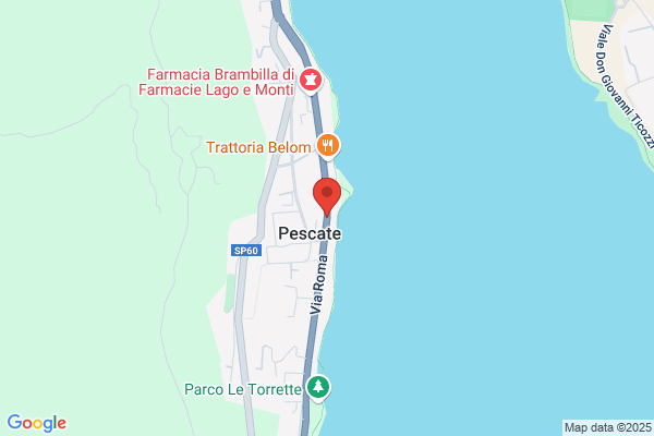 Il Gineceo