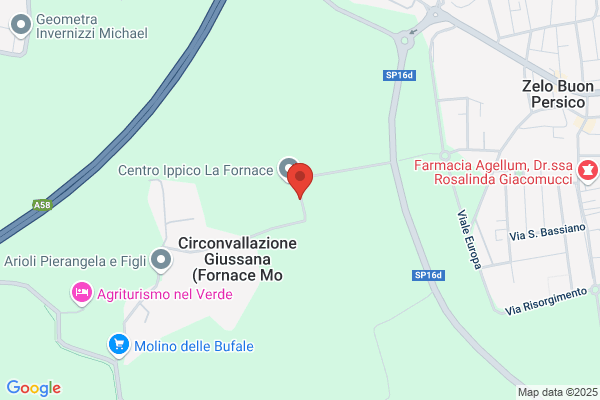 Centro Ippico Borromeo