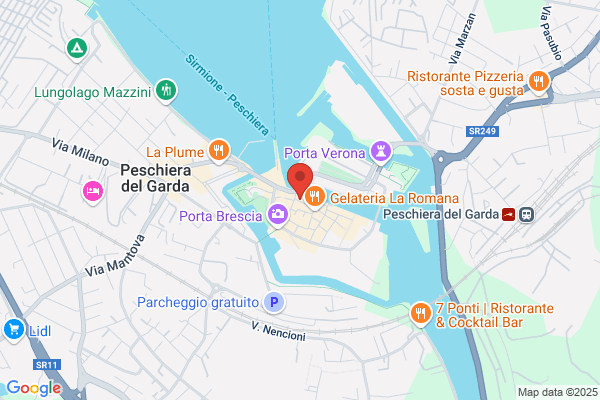 La Gatta Di Covizzi Anna