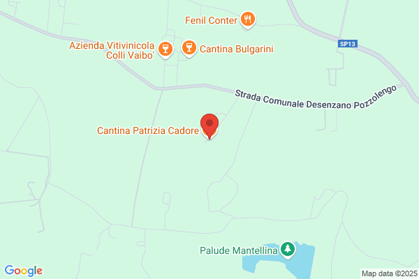Cantina Patrizia Cadore
