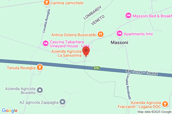Azienda Agricola La Sansonina