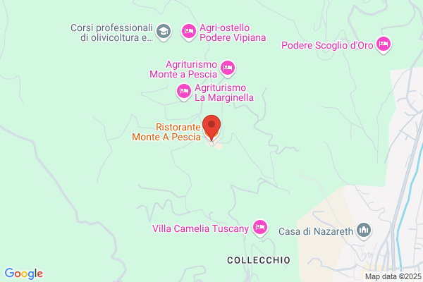 Monti roberto