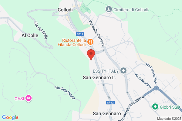 Scuola Elementare Collodi